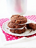 Cocoa and oatmeal cookies