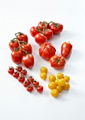 Assortment of tomatoes on a white background