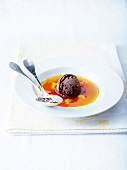 Cocoa sorbet in citrus fruit juice
