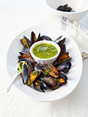Pesto mussels