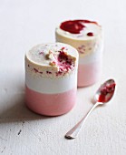 Raspberry iced soufflé