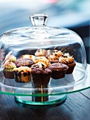 Assortment of muffins under a glass dome