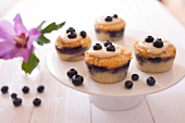 Magic blueberry cupcakes