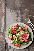 Portulak-Salat mit Erdbeeren, Essblüten, Ziegenkäse und Sprossen