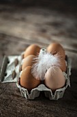 Braune Eier und Feder im Eierkarton