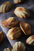 Buckwheat and salted butter toffee Madeleines