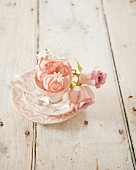 Sweet flowery bites and tea cups