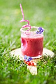 Redcurrant smoothie in the grass outdoors