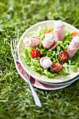 Boiled ham and cream cheese rolls with mixed salad in the grass outdoors