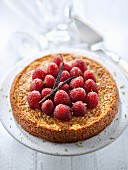 Gluten-free lime sponge cake topped with raspberries