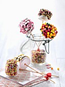 Chocolate coated marshmallows decorated with colored drops and vermicellis