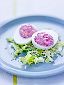 Beetroot mimosa eggs,sprout,cucumber and fennel salad