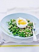 Pea,quinoa and pine nut salad topped with a soft-boiled egg