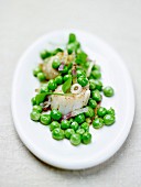 Pan-fried scallops with peas