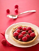 Chocolate-raspberry tartlet