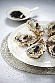 Austern in Apsik mit Kaviar