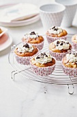 Philadelphia cream cheese and Oreo biscuit muffins
