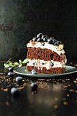 Slice of chocolate and blueberry cake