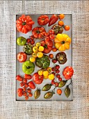 Various tomatoes (seen from above)