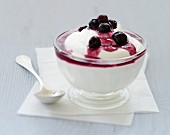 Yoghurt mousse with blueberries