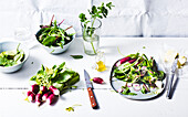 Mixed radish salad