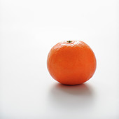 Clementine on a white background