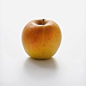 Golden Delicious Apfel vor weißem Hintergrund