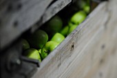 Granny Smith Äpfel in einer Holzkiste