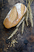 Farmhouse bread and wheat ears and grains