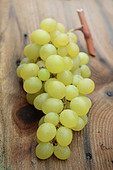 Bunch of Italian white grapes