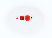 Rote Komposition auf weißem Teller