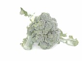 Broccoli on a white background