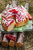 Kuchen mit roten Johannisbeeren