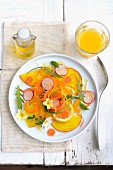 Karottensalat mit Zitrone, Mango und Radieschen
