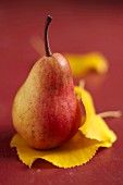 Red William pear