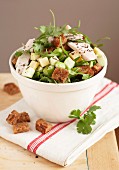 Chicken and diced cheese salad with croutons