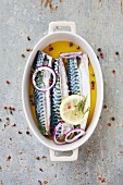 Marinated mackerels with oil and seasonings