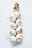 Garlic plait
