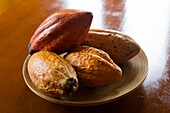 Cocoa pods