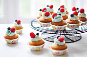 Mini Cupcakes mit Himbeeren und Heidelbeeren