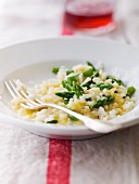 Risotto with green asparagus tops