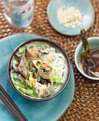 Traditionelles Bo-Bun (Vietnamesisches Reisnudelgericht) mit Rindfleisch und Nems mit Hähnchen