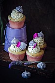 Lavander cupcakes