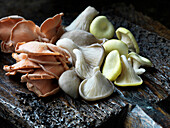 Various oyster mushrooms