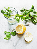 Lemon-mint lemonade