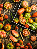 Viele verschiedene Tomaten