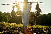 Woman harvesting garlic, Urals, Russia