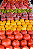 Assortment of old tomatoes at a farmers' market
