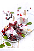Summer berry iced Petits-suisses