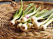 Spring onions in wicker basket